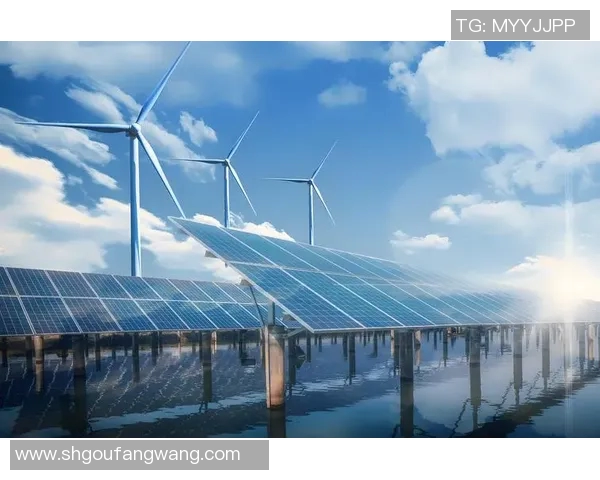 探索扁带的多元应用与创新设计理念在现代生活中的重要性与影响