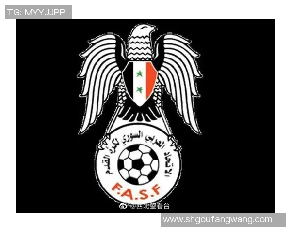 叙利亚对中国足球比赛门票信息及购票攻略分享
