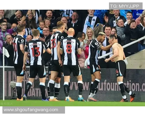 埃弗顿与纽卡历史交锋记录分析及战绩回顾