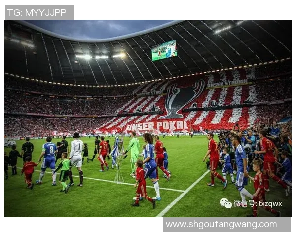 欧冠门票系统瘫痪数万球迷苦等12小时抢购门票