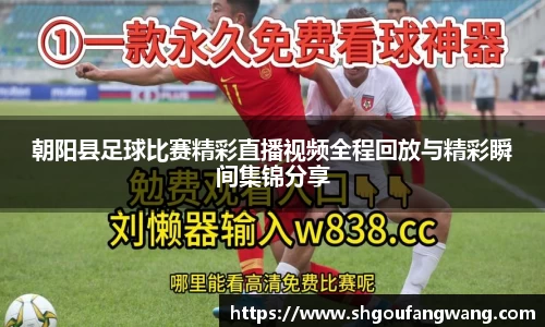 朝阳县足球比赛精彩直播视频全程回放与精彩瞬间集锦分享