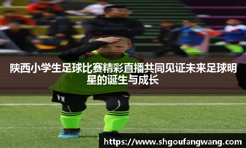 陕西小学生足球比赛精彩直播共同见证未来足球明星的诞生与成长