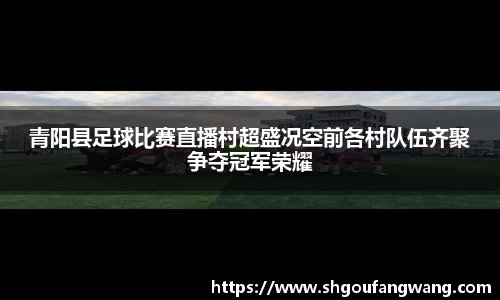 青阳县足球比赛直播村超盛况空前各村队伍齐聚争夺冠军荣耀
