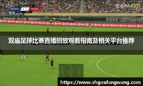 双庙足球比赛直播回放观看指南及相关平台推荐