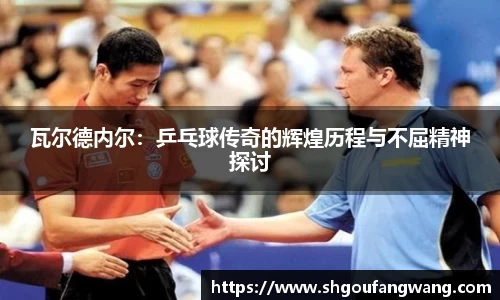 瓦尔德内尔：乒乓球传奇的辉煌历程与不屈精神探讨