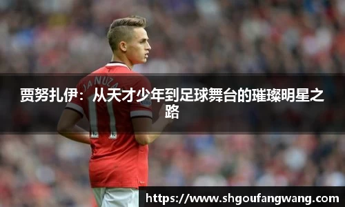 贾努扎伊：从天才少年到足球舞台的璀璨明星之路