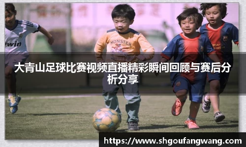 大青山足球比赛视频直播精彩瞬间回顾与赛后分析分享