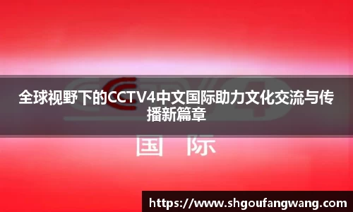 全球视野下的CCTV4中文国际助力文化交流与传播新篇章