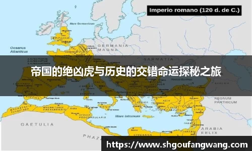 帝国的绝凶虎与历史的交错命运探秘之旅