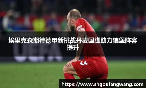 埃里克森期待德甲新挑战丹麦国脚助力狼堡阵容提升
