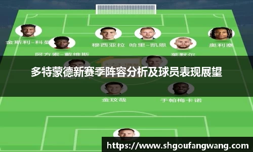 多特蒙德新赛季阵容分析及球员表现展望