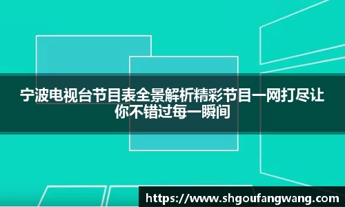 宁波电视台节目表全景解析精彩节目一网打尽让你不错过每一瞬间