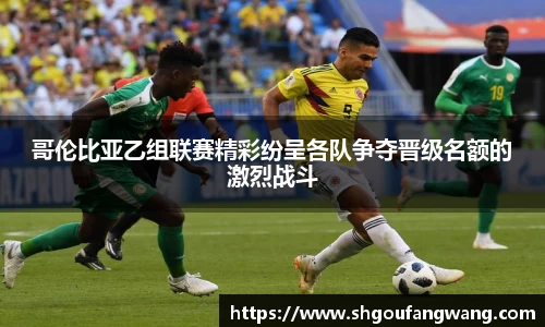 哥伦比亚乙组联赛精彩纷呈各队争夺晋级名额的激烈战斗