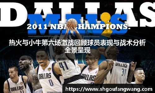 热火与小牛第六场激战回顾球员表现与战术分析全景呈现