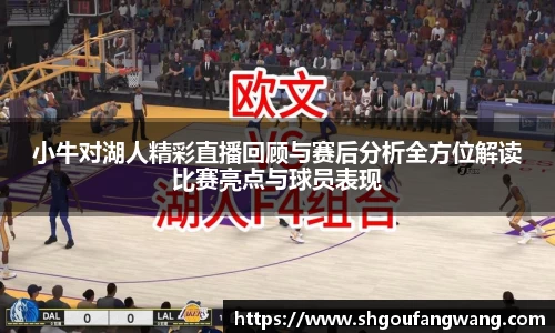 小牛对湖人精彩直播回顾与赛后分析全方位解读比赛亮点与球员表现