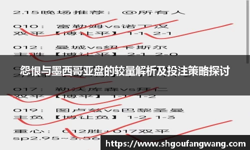 怨恨与墨西哥亚盘的较量解析及投注策略探讨