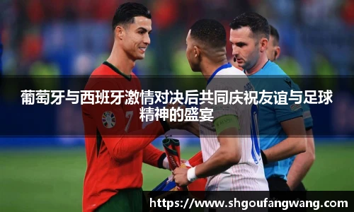 葡萄牙与西班牙激情对决后共同庆祝友谊与足球精神的盛宴